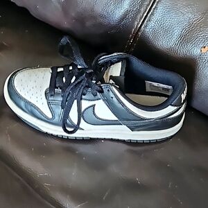 Nike dunks 3.5
